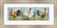 Noble Roosters V Fine Art Print