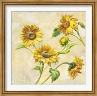 Farm Nostalgia Sunflowers Fine Art Print
