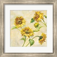 Farm Nostalgia Sunflowers Fine Art Print