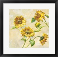 Farm Nostalgia Sunflowers Fine Art Print