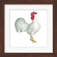 Noble Rooster I on White Fine Art Print
