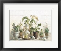 Greenhouse Orchids on Shiplap Fine Art Print