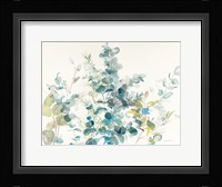 Eucalyptus I Fine Art Print