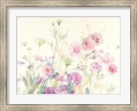 Queen Annes Lace and Cosmos Fine Art Print