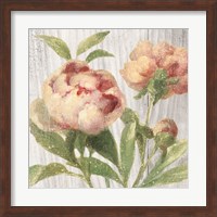Scented Cottage Florals I Crop Fine Art Print