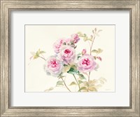 Sweet Roses Fine Art Print