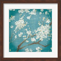 White Cherry Blossoms I on Teal Aged no Bird Fine Art Print