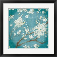 White Cherry Blossoms I on Teal Aged no Bird Framed Print