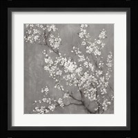 White Cherry Blossoms II on Grey Crop Fine Art Print