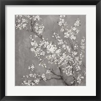 White Cherry Blossoms II on Grey Crop Framed Print