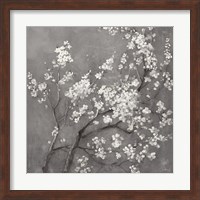 White Cherry Blossoms I on Grey Crop Fine Art Print