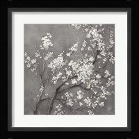 White Cherry Blossoms I on Grey Crop Fine Art Print