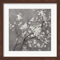 White Cherry Blossoms I on Grey Crop Fine Art Print