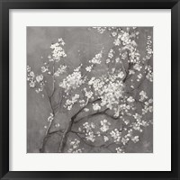 White Cherry Blossoms I on Grey Crop Framed Print