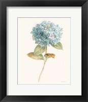 Garden Hydrangea Fine Art Print