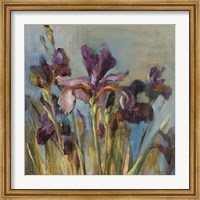 Spring Iris I Fine Art Print
