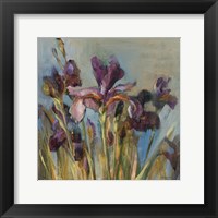 Spring Iris I Framed Print