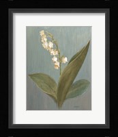 May Lily of the Valley Green Framed Print