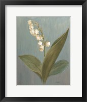May Lily of the Valley Green Framed Print