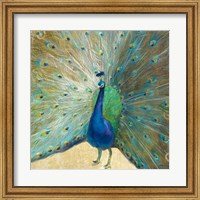 Blue Peacock Cream Fine Art Print