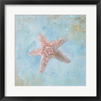 Treasures from the Sea IV Watercolor Framed Print