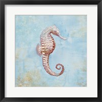 Treasures from the Sea I Watercolor Framed Print