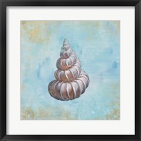 Treasures from the Sea II Watercolor Framed Print