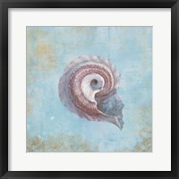 Treasures from the Sea III Watercolor Framed Print