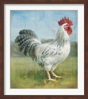 Noble Rooster IV v.2 Vintage No Border Fine Art Print