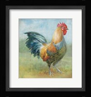 Noble Rooster III Vintage No Border Framed Print