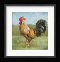 Noble Rooster II Vintage No Border Framed Print