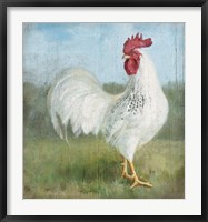 Noble Rooster I Vintage No Border Fine Art Print