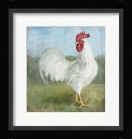 Noble Rooster I Vintage No Border Framed Print
