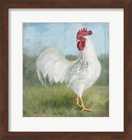 Noble Rooster I Vintage No Border Fine Art Print