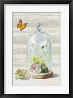 Succulent Garden I Crop Framed Print