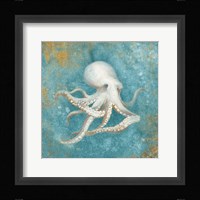 Treaures from the Sea V Aqua Framed Print