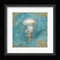 Treaures from the Sea VI Aqua Framed Print