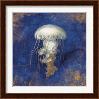 Treasures from the Sea Indigo VI Fine Art Print