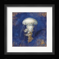 Treasures from the Sea Indigo VI Framed Print