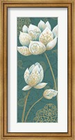 Lotus Dream IIIB Fine Art Print