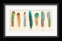 Feather Tales VII Fine Art Print