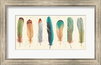 Feather Tales VII Fine Art Print