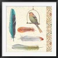 Feather Tales II Fine Art Print
