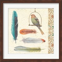 Feather Tales II Fine Art Print