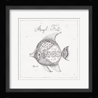 Underwater Life XVII Fine Art Print