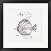 Underwater Life XVII Framed Print