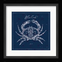 Underwater Life XII Framed Print