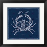 Underwater Life XII Framed Print