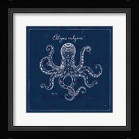 Underwater Life XI Framed Print
