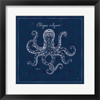 Underwater Life XI Framed Print